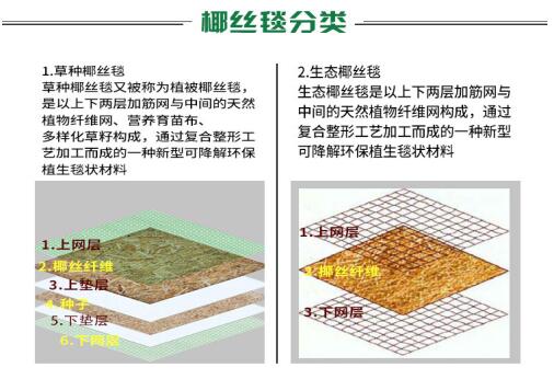 椰絲毯在實(shí)際護(hù)坡工程中的應(yīng)用